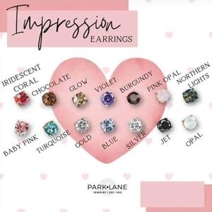 Park Lane Impression Earrings NWT Jet
